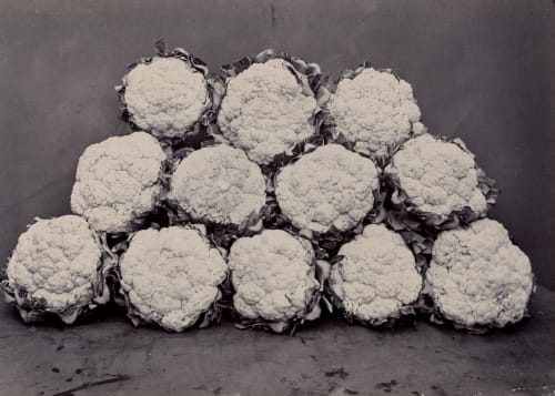 Charles Jones, Summer exhibition