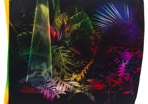 Chloe Sells, SENESCENCE