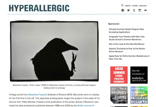 Hyperallergic Online - 'Solitude of Ravens'