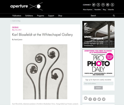 Karl Blossfeldt at the Whitechapel Gallery
