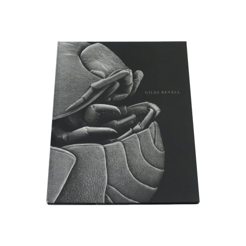 Giles Revell, Insect Tectonics