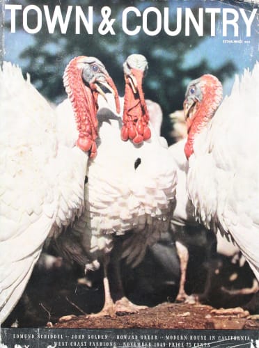 Artist Unknown, Town & Country