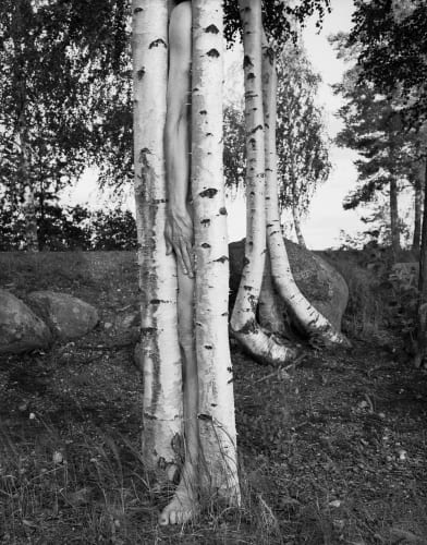 Väisälänsaari, Finland, 1998