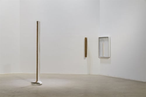 나무 틈새 깊은 어둠 속에 무엇이 있을까