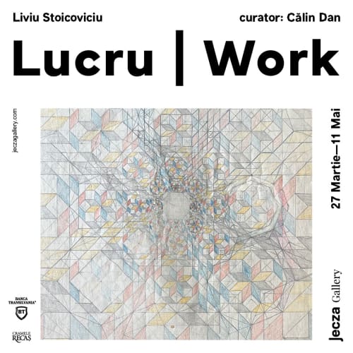 Liviu Stoicoviciu - Lucru | Work, Curated by Călin Dan