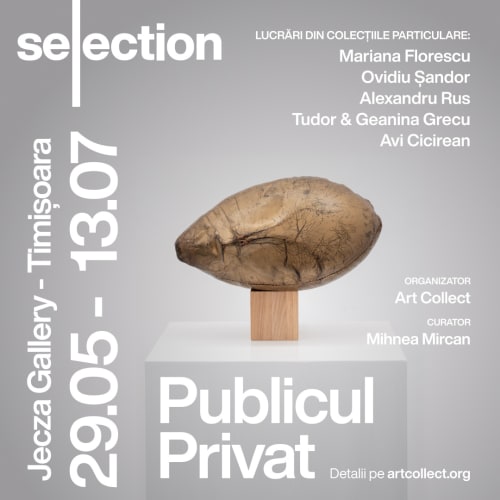 ArtCollect's - Publicul Privat / The Private Public , works selected from five Romanian art collections, curator: Mihnea Mircan