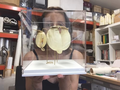 Portrait courtesy the artist