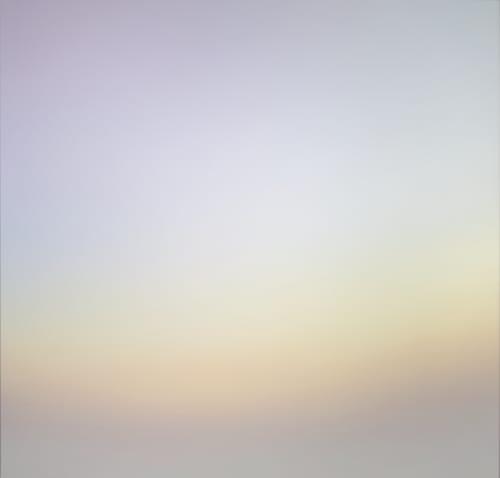 Dialogues on the Knoll, Dialogues on the Knoll: A collective exhibition of 19 artists