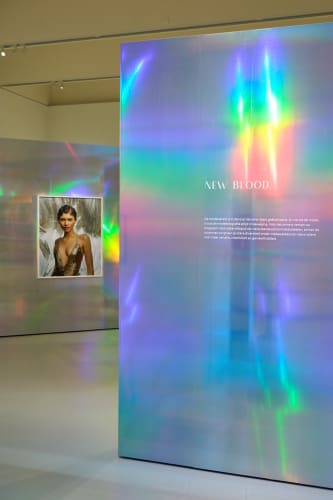 “A Personal View on High Fashion & Street Style. Photographs from the Nicola Erni Collection, 1930s to Now” at the Het Noordbrabants Museum, ‘s-Hertogenbosch (The Netherlands). Courtesy of the museum. Photo: Jan-Kees Steenman.