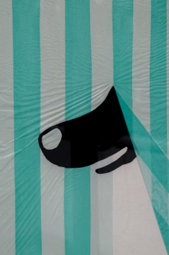 Mi perrito Fiu Fiu, Francisco Toquica | Curated by Carolina Cerón