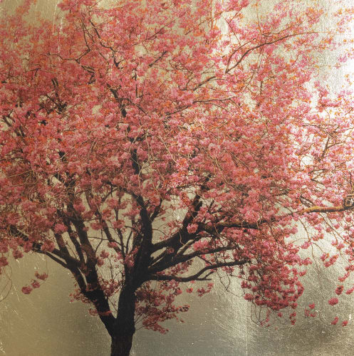 Small Wonders 2026, A brand new series of mini masters