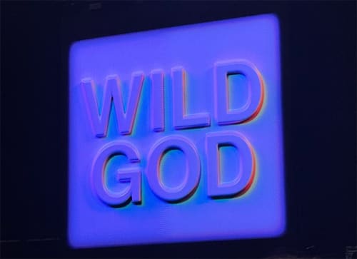 Wild God