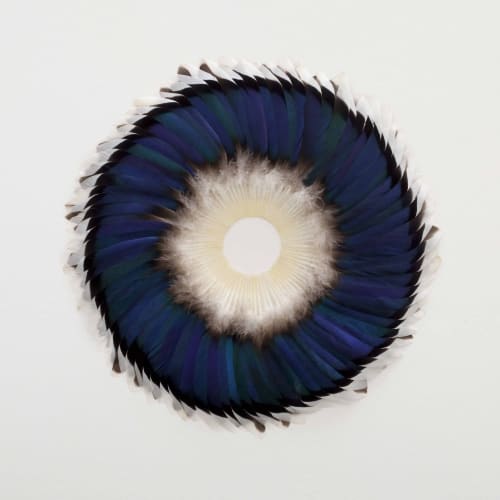 Sepal Speculum Kate MccGwire