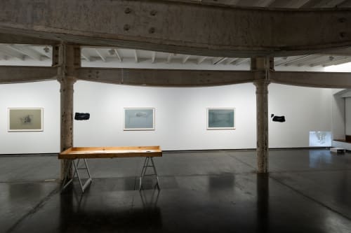 Where should the birds fly after the last sky ?, Prajakta Potnis