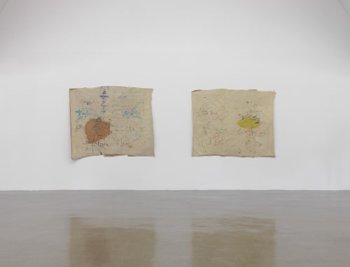 Goutam Ghosh At The Renaissance Society, University Of Chicago