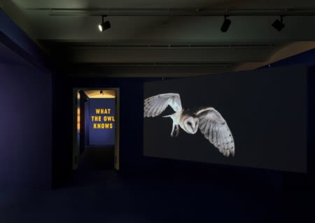 The Otolith Group, What the Owl Knows, installation view, Secession 2022, photo: Iris Ranzinger