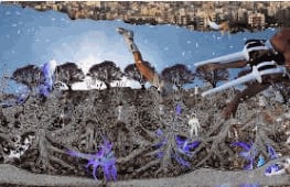 Baptist Coelho, Hemali Bhuta And Prajakta Potnis- Citizens Of Time, Dhaka Art Summit (Curated Section)