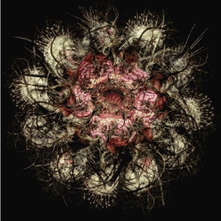 Rohini Devasher-Forbes India Art Award For Contemporary Artist Of The Year (Young)