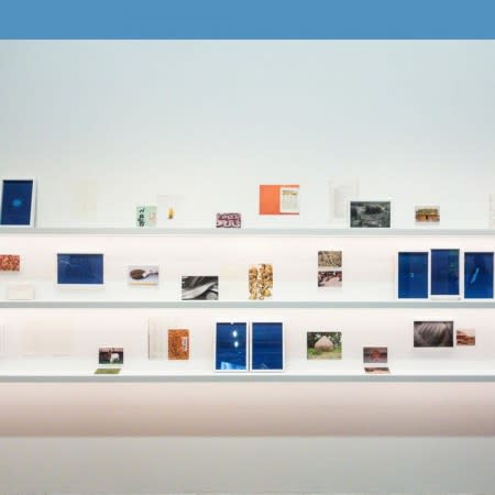 Munem Wasif: Jomin O Joban: A Tale Of The Land Opens At Stadtgalerie Museumspavillon