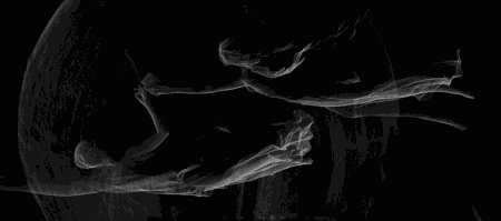 SAAG: XENOGENESIS | THE OTOLITH GROUP