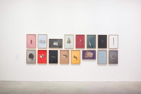 Munem Wasif , Spring Song, 2016- Ongoing, 25 X 27 inch each, Series of 16 archival pigment prints, Courtesy the artist and Project 88, Mumbai