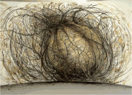 Seed, by Rohini Devasher, 2004. Charcoal, acrylic, colour, pencil, oil pastel, wood; 245 x 457 cm