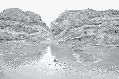 Artforum: Munem Wasif