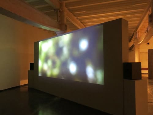 Desire Machine Collective, Noise Life, Installation View, Project 88, 2014.