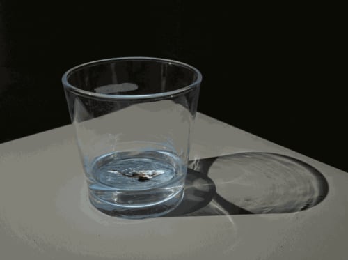 Amol K. Patil, 'Let's Clean Our Hands', 2022. Holographic video. Courtesy of Röda Sten Konsthall. Photo by Hendrik Zeitler.