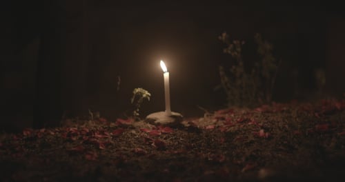 A still from Pallavi Paul’s How Love Moves. The film is showing at Mumbai’s Project 88 gallery, until April 26.