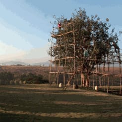 “WE ARE ALL MEAT, STRIVING TO BE HUMAN”