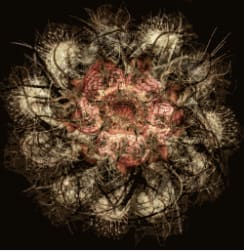 Crossing Boundaries: The Art Of Anjali Deshmukh And Rohini Devasher (In Collaboration With The Artists)