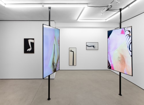 Louisa Clement – Fractures