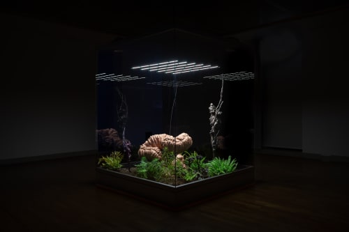 Hicham Berrada – Aléas, Galerie Stadt Sindelfingen