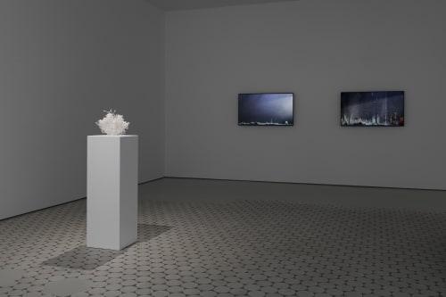 Hicham Berrada – Enclosed Natures