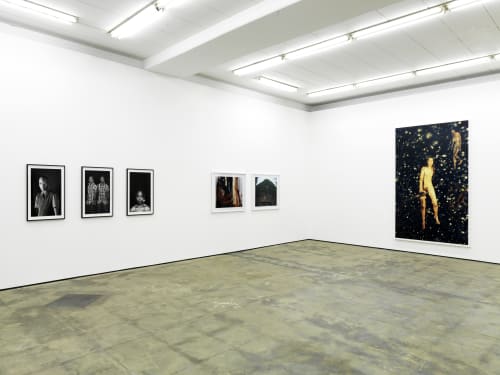 Snapshots of a Generation