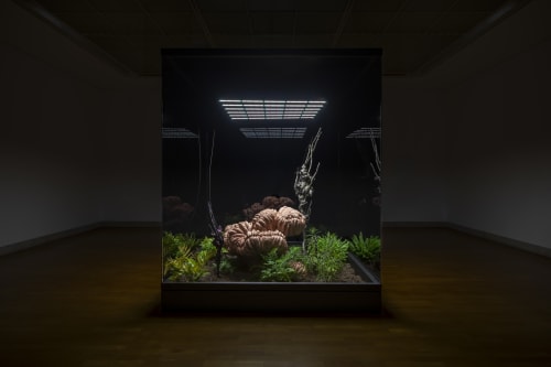 Hicham Berrada – Aléas