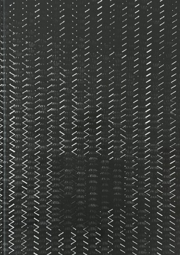 Gregor Hildebrandt, Sterne streifen die Fluten