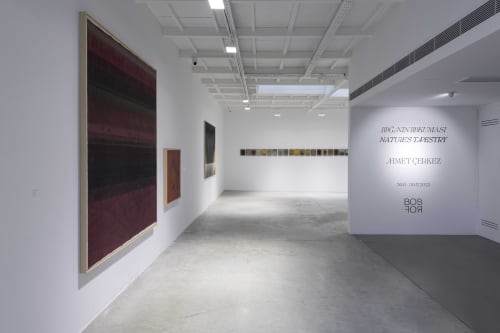 Ahmet Çerkez, Nature's Tapestry, 30.11-30.12.2023