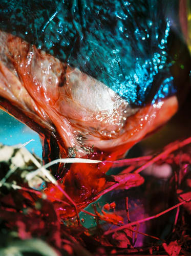 Lucile Boiron, Untitled, Bouche, 2024