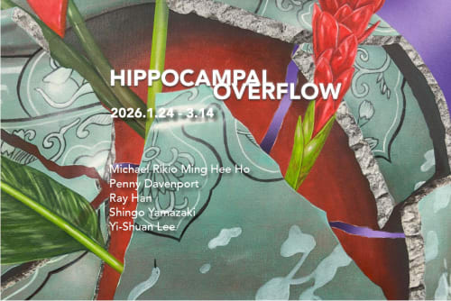 Hippocampal Overflow