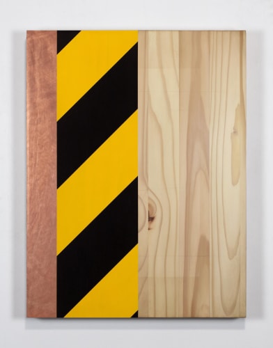 Work In Progress, Anthony Adcock