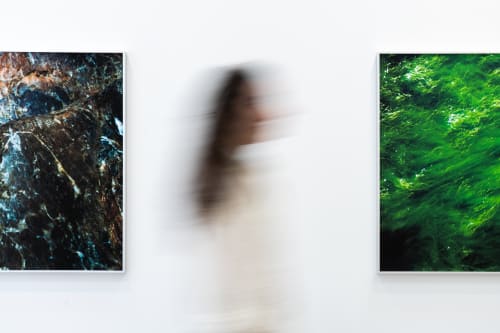 Mohamad Abdouni - Barren Seeds , Past