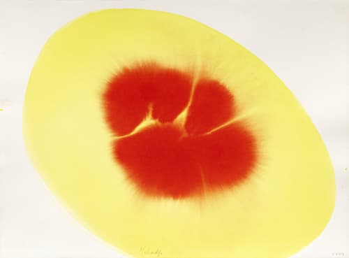 Najia Mehadji & Yamou, Les natures invisibles