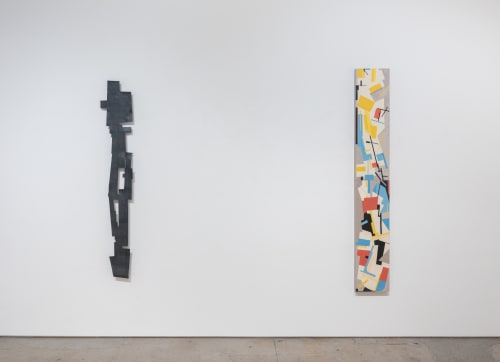 Following Form, Judy Cooke