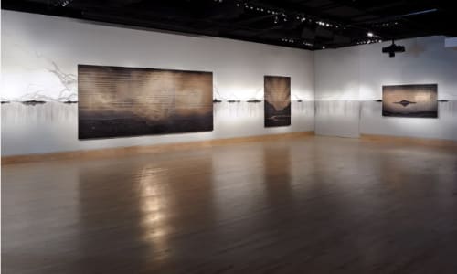 Spanish Language Exhibition Tour of Teresita Fernández: Dark Earth
