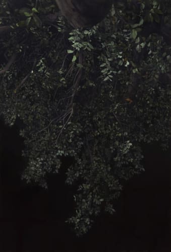 Healing | Mihee Nahm , in the Main Gallery