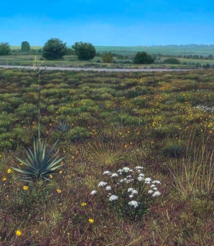 Painting in the Texas Tradition: Contemporary Texas Regionalism