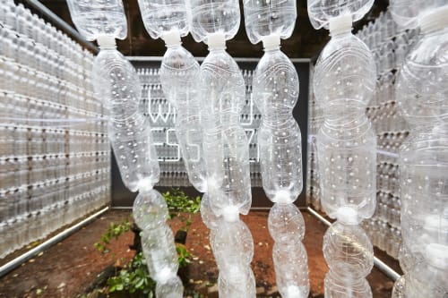 Elisa Cantarelli: Postumano Metamorfico - Biennale Venezia 2022