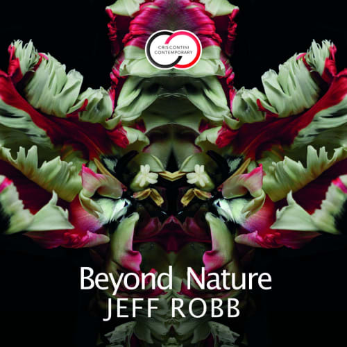 BEYOND NATURE, Jeff Robb